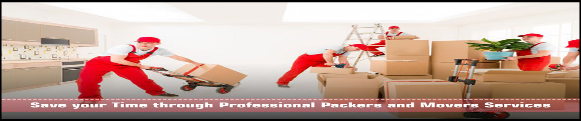 Packers And Movers Noida Sector 162